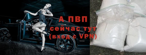гидра Ладушкин