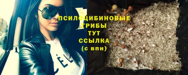гидра Ладушкин