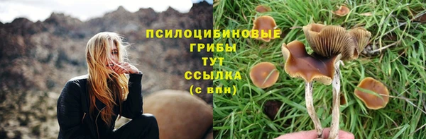 ешки Лабытнанги