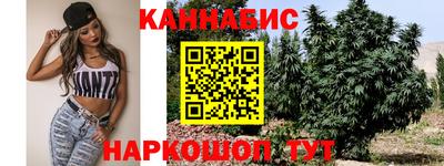 прущие грибы Апшеронск