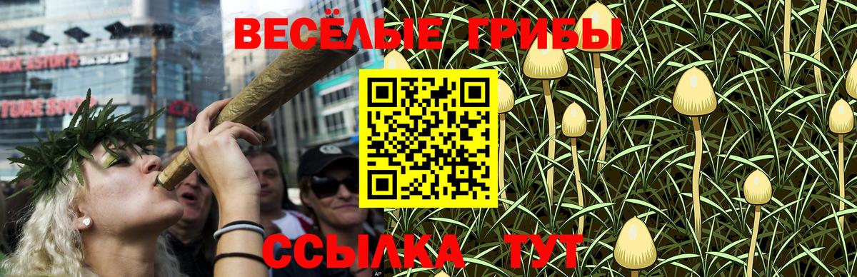 Галлюциногенные грибы ЛСД  Галлюциногенные грибы Cubensis  Армавир  Вход с VPN 